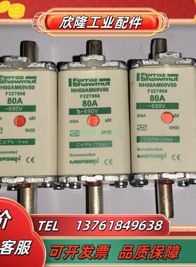 NH00AM69V50/69V63 NH00AM69V80/69V100 MERSEN美尔森熔断器议价