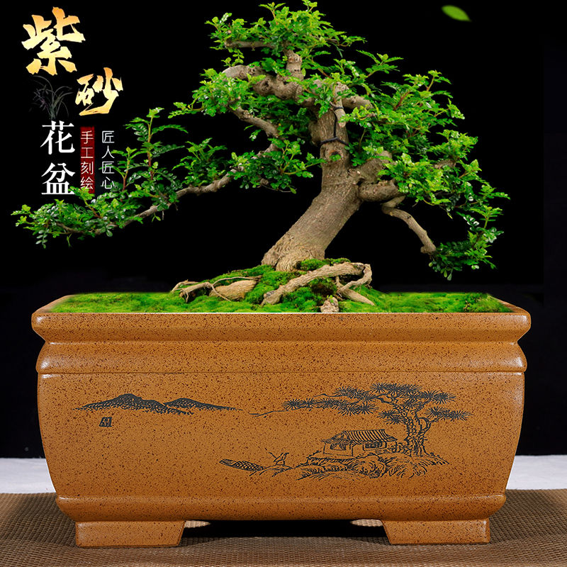 紫砂花盆长方形加深梅花老桩盆景盆特大号马槽海棠罗汉松榕树盆栽
