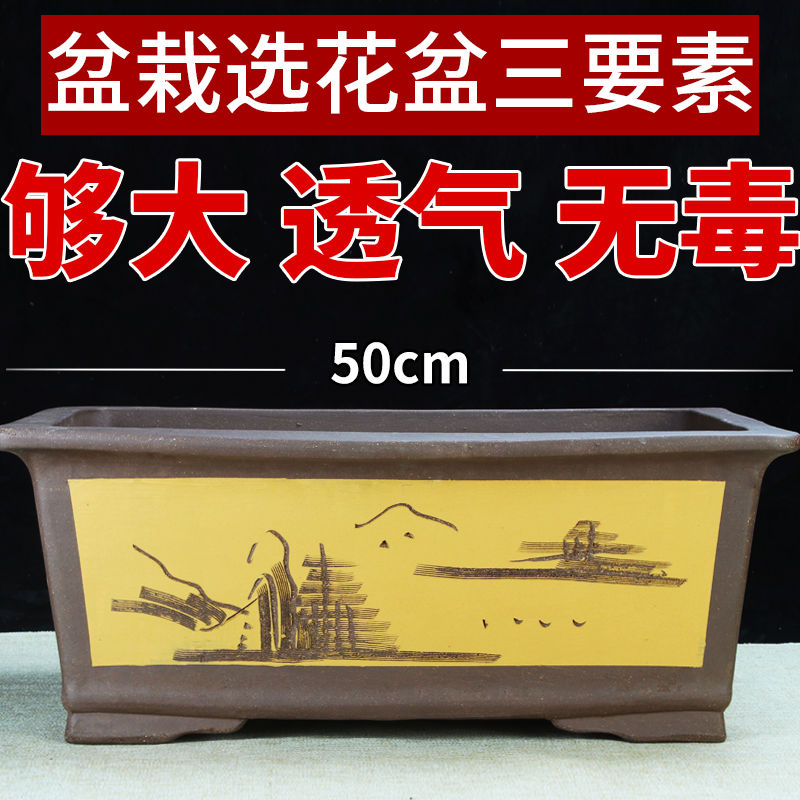 宜兴紫砂树桩花盆特大号超大榕树老桩种树长方盆景盆特价清仓陶瓷