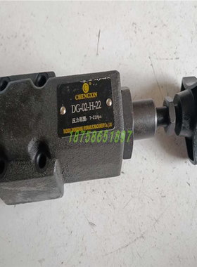 DG-02-H-22 DG-02-C-22 DT-02-B-22 DG-02 直动式溢流阀 CHENGXIN