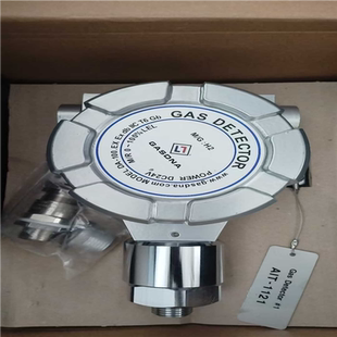 100EX IICT6 议 气体深测器DA