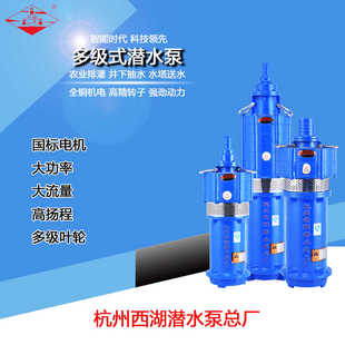 杭州西湖QD多级潜高扬程小老鼠220V380V抽水泵井用无塔增压