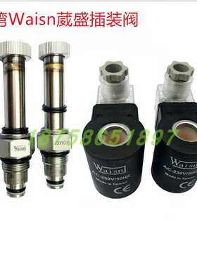 CSV-02-01 CSV-0201台湾崴盛WAISN插装阀电动阀CSV1601 CSV2001