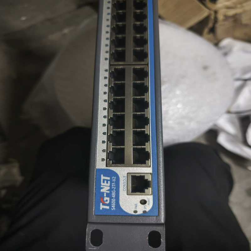 S4600-48G-2TF-V2万兆交换机带vlan功能48(咳咳电子)