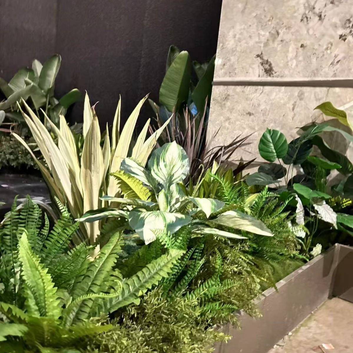 成都仿绿组植造观景合室内6465景观橱窗装饰真绿墙微景效果图落地