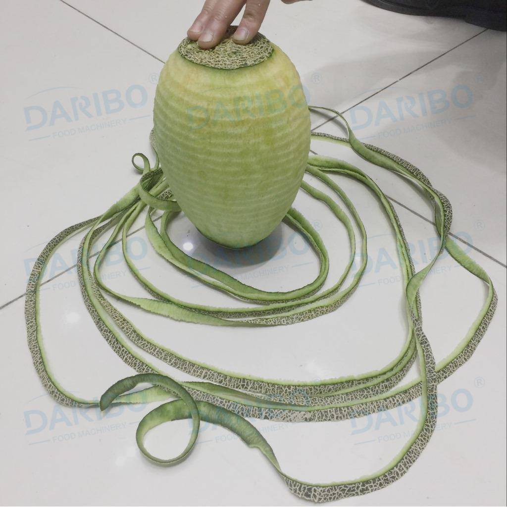 O椰皇去DRB-XP5刮棕机不锈凤梨皮削设备番瓜南瓜皮机商用大冬瓜钢