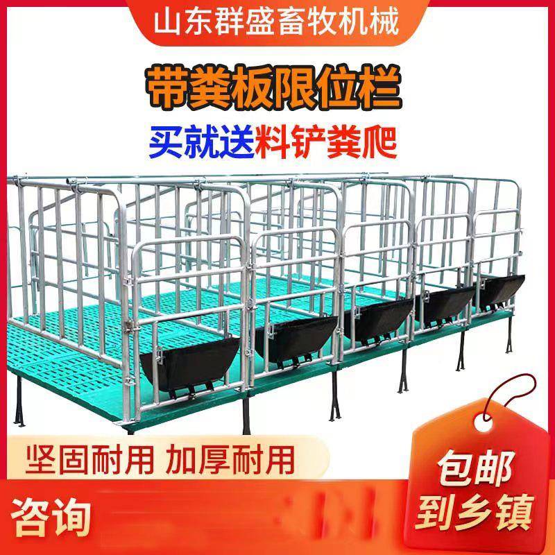 猪定位栏离地猪用限位栏带板复合漏粪圈猪栏养殖单体母母猪KVQ猪