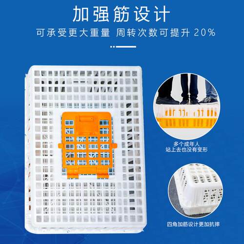 鸡笼运输笼塑料家禽周转箱筐成鸭大鹅鸡子鸽子笼XWP家用号兔笼养