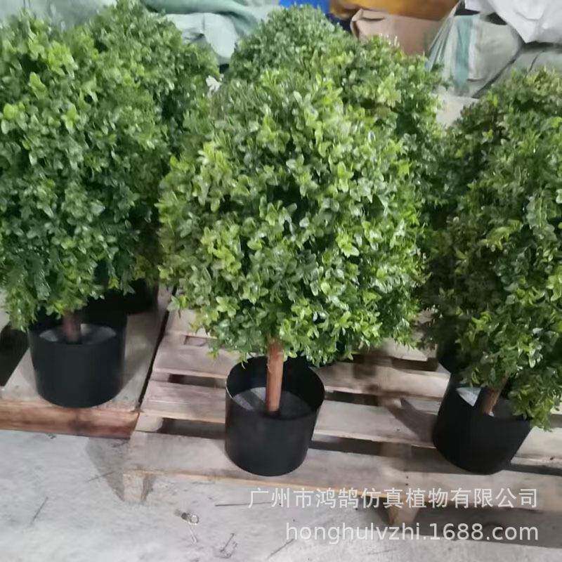 仿真杨HF-234草球树花生叶圆球树尤加梅米兰景木观利树仿真植物盆