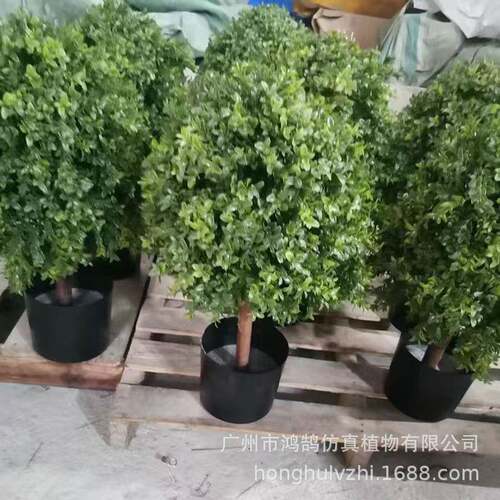 仿真杨HF-234草球树花生叶圆球树尤加梅米兰景木观利树仿真植物盆
