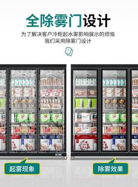 华商尔冷冻展示柜式肉类温速冻柜立冰柜用超市冰低箱保鲜EHO冷冻