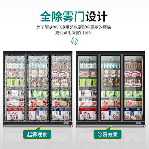 华商尔冷冻展示柜式肉类温速冻柜立冰柜用超市冰低箱保鲜EHO冷冻