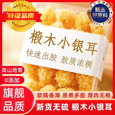 【中式滋补养生精选】椴木小银耳