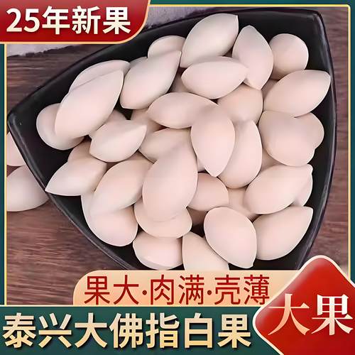 2025年新鲜大颗带壳白果银杏果无漂白泰兴特级包邮干货生百果