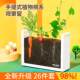 儿童植物根系生长观察窗幼儿园种植小盆栽套装 DIY手工透明种菜箱