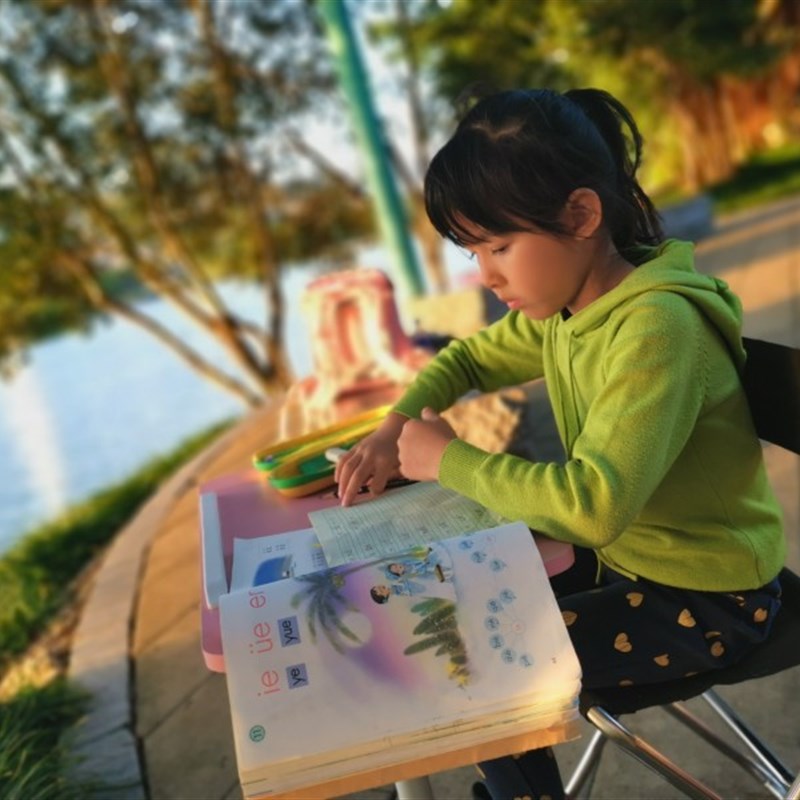 车用可折叠小桌板后座车载平板笔记本支架电脑桌子U汽车内餐桌书