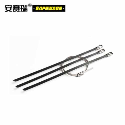 安赛瑞不锈钢扎带（100根装）4.6×100mm304不锈钢绑扎带不锈钢自