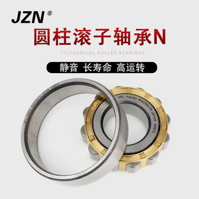 圆柱滚子轴承N 213 214 215 216 217 218 219 220 221 222 224 EM