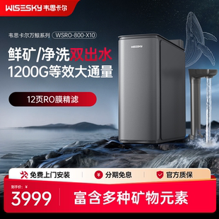 韦思卡尔万鲸厨下净水器RO反渗透双出水净水机1200G家用直饮X10