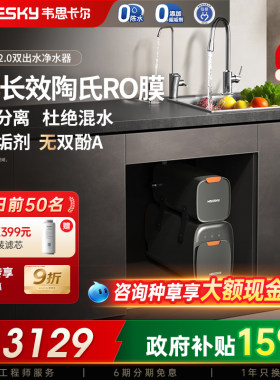 韦思卡尔黑积木2.0净水器双出水净水机反渗透RO分体式直饮家用M2G
