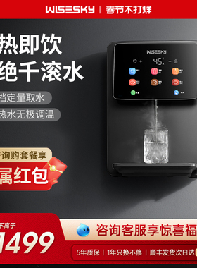 WISESKY韦思卡尔即热管线机壁挂式饮水机加热家用K600