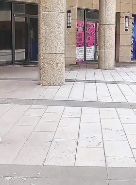 现货速发搬家神器上下楼爬楼梯搬运车搬重物楼行李手拉车便携可折