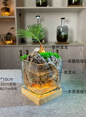 趣味鲜活真植物苔藓微景观生态瓶 室内创意迷你绿植盆栽DIY好养