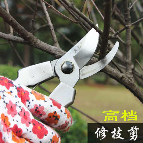 花艺修枝剪果树剪刀整枝粗枝园艺树枝剪家用花木水果嫁接采摘工具