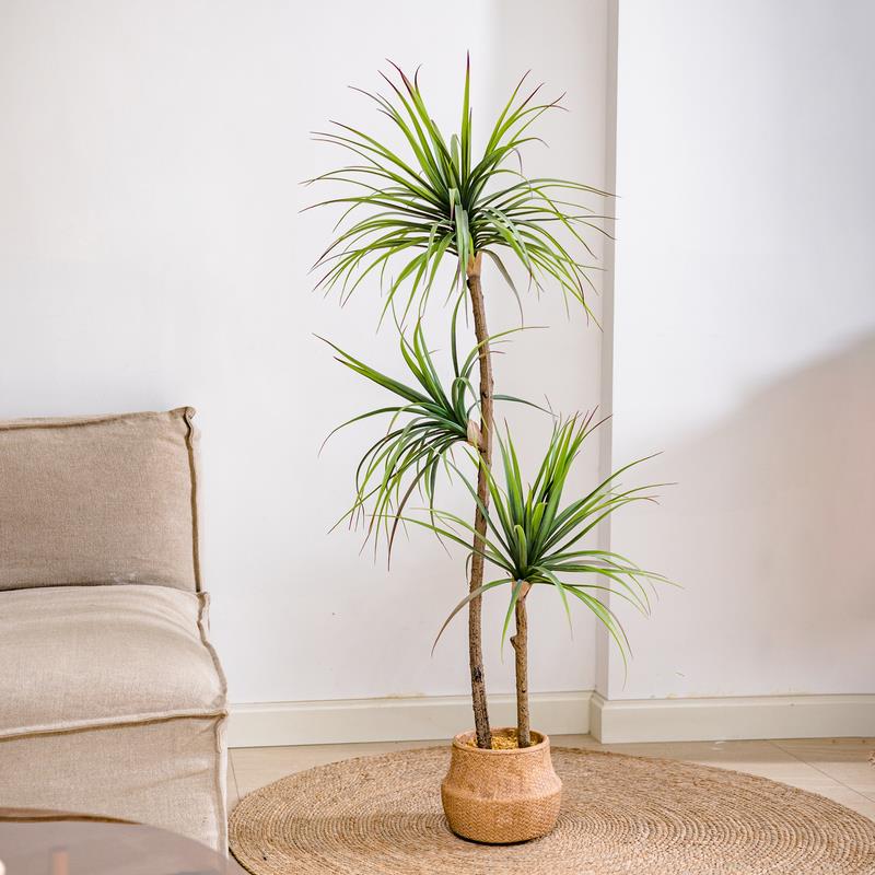 仿真绿植龙舌兰假树千年木植物轻奢盆栽室内客厅软装饰落地盆造景