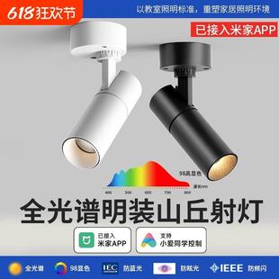小山丘射灯可调角度折叠吸顶式 明装 洗墙照画全光谱客厅高显洗墙灯