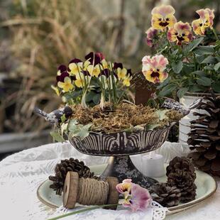 铁覆古旧双鸟托盘花园装饰杂货托盘葡萄风信子球茎摄影道具