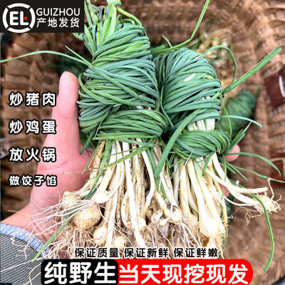 贵州野葱新鲜现挖小野蒜