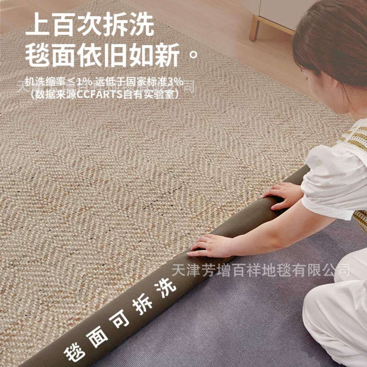 双层可拆洗地毯客厅可机洗水洗沙发茶几轻奢高级感简约卧室床边毯