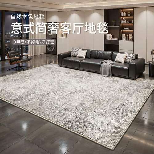 地毯客厅意式简奢防水防污卧室床边毯现代沙发茶几地垫大面积全铺