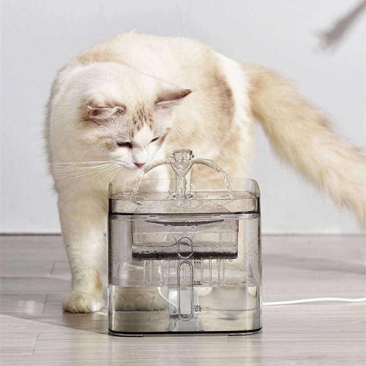 宠物用品恒温猫咪饮水机自动循环智能透明饮水器猫喝水盆智能饮水,自行车/骑行装备/零配件,更多零件/配件,淘宝优惠券,粉丝福利购,淘宝优惠卷