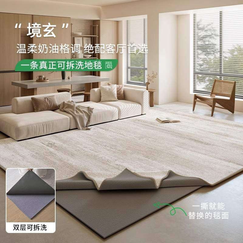 可拆洗奶油风客厅地毯新款双层圈绒可机洗轻奢高级感简约卧室地垫