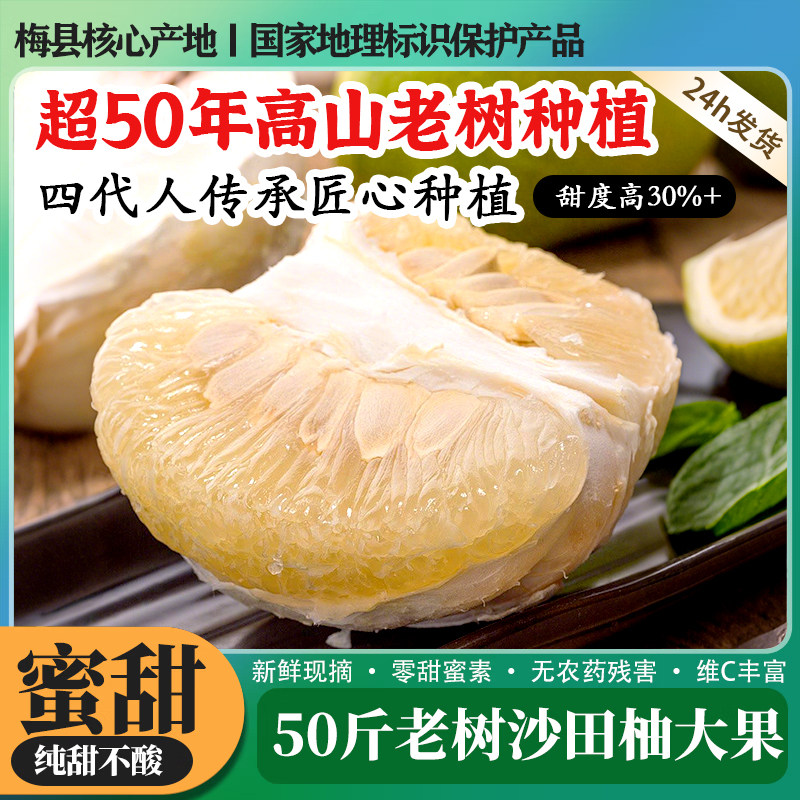 梅州正宗沙田柚子礼盒袋包邮金柚之乡直发新鲜老树水果白心果团购,水产肉类/新鲜蔬果/熟食,柚子,淘宝优惠券,粉丝福利购,淘宝优惠卷