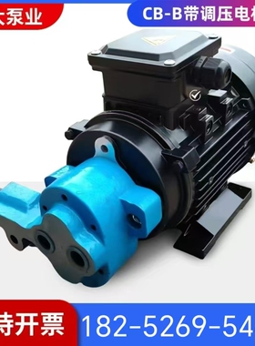 带调压CB-B6/B10/B4齿轮泵液压油泵电机组370W/550W/750W润滑泵