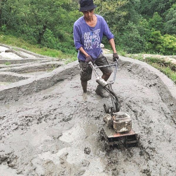 高档菜微耕机沟多功能老人除草妇小型棚果园农用田女汽油水种大新