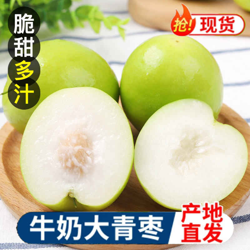 福建漳州牛奶大青枣新鲜枣子贵妃冬枣时令水果当季奶油苹果脆枣整