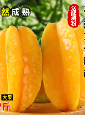 福建漳州甜杨桃5斤新鲜水果应当季红扬桃五角星阳桃现摘整箱包邮