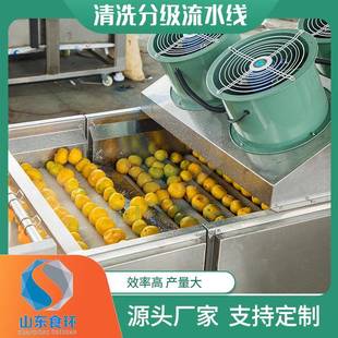 全自动果蔬选机SSP果蔬分水称重分拣机土豆红薯清洗风干果级分机