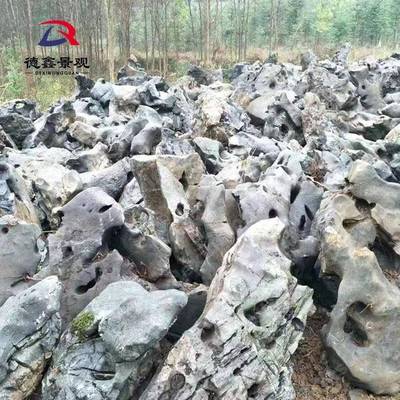 太湖石假园林造景石溪流驳岸景山观天然酸洗自然黑色石厂EYV石家