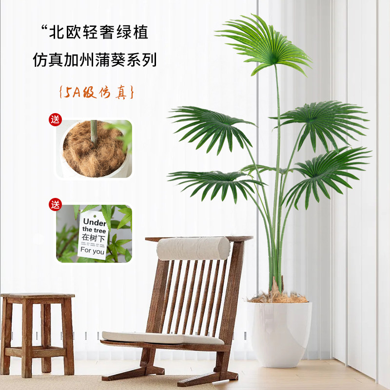 大型仿真绿植仿生盆栽加州蒲葵客厅假树植物室内客厅X落地装饰摆,家居饰品,仿真植物盆景,淘宝优惠券,粉丝福利购,淘宝优惠卷