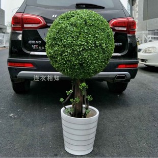 仿真草球树假树黄杨树草s球树米兰大型绿植仿真花欧式造型盆栽落