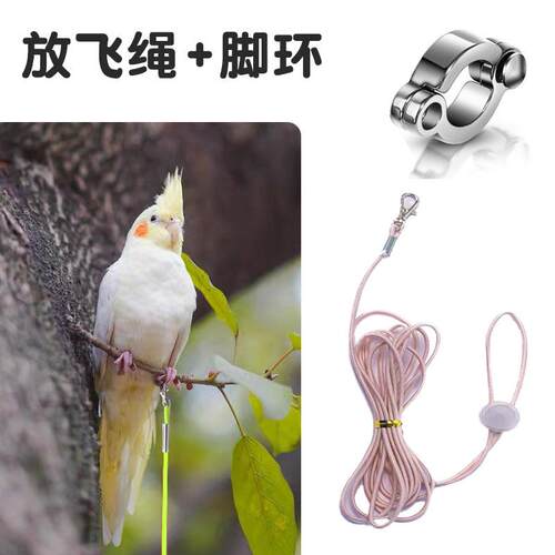 鹦鹉飞行绳超轻牵引绳放飞绳虎皮牡丹画 画眉鹩哥脚环绳遛鸟神器