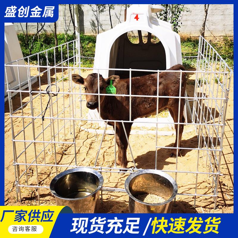 犊牛岛公牛母牛通用小牛犊房屋防风保暖断奶乳牛户外养犊牛岛