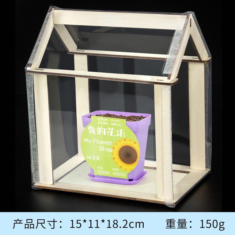 科学实验diy小温室植物花坊阳光小暖房儿童手工科技小制作材料包