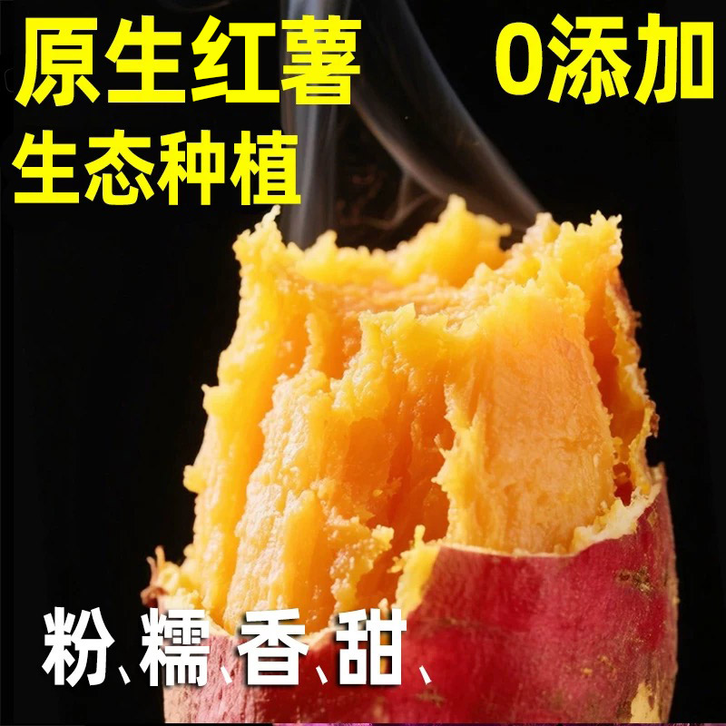 老式红薯农家种不打药