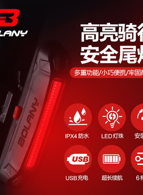 Bolany自行车尾灯USB充电夜骑灯公路车骑行警示灯单车山地车后灯